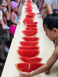 娱乐吃瓜小能手,吃瓜小能手带你领略幕后风云