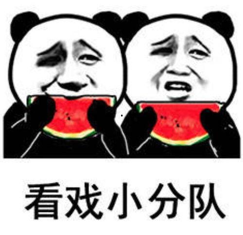 吃瓜娱乐的视频