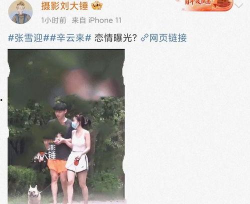 娱乐圈吃瓜劲爆的视频大全,揭秘劲爆视频背后的八卦风云