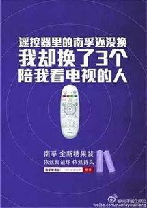吃瓜娱乐文案怎么写啊,打造娱乐热点新风尚