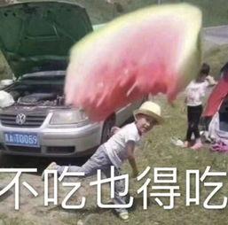 娱乐吃瓜老王免费阅读,跟随老王免费阅读，一探究竟