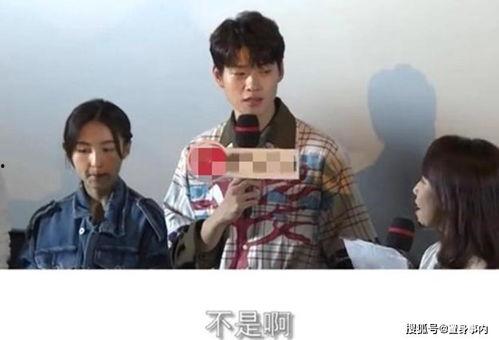 全娱乐圈吃瓜嗑cp,吃瓜与嗑CP的狂欢盛宴