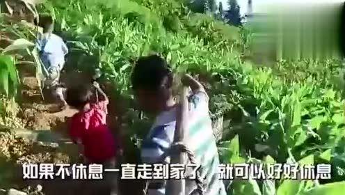 情人节娱乐吃瓜视频大全,趣味视频大盘点