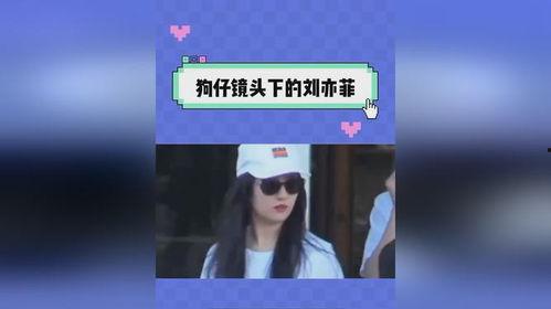 娱乐吃瓜日记,揭秘明星幕后故事