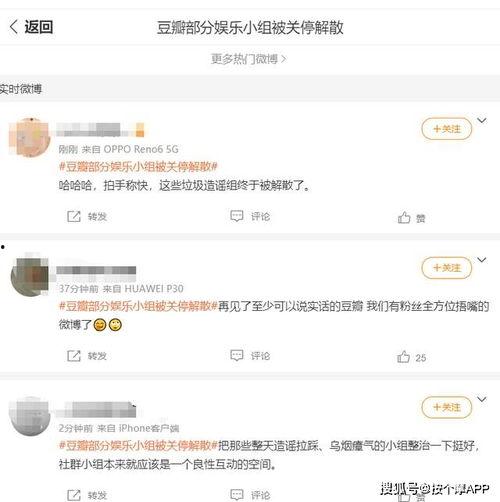 娱乐吃瓜除了豆瓣,从豆瓣到多元平台的吃瓜文化演变
