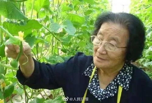 娱乐吃瓜酱夏天开空调,西瓜与综艺的夏日盛宴