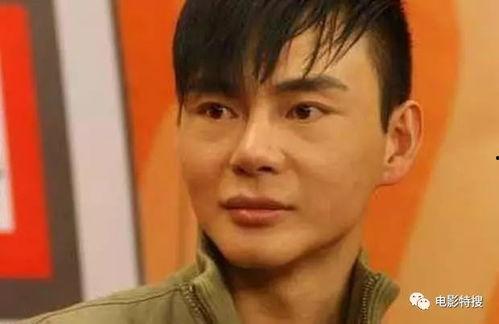 吃瓜娱乐圈 导演海岩,娱乐圈的传奇与争议