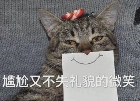 娱乐吃瓜君与猫,娱乐公司大佬顾星时与神秘靠山闻樾的传奇故事