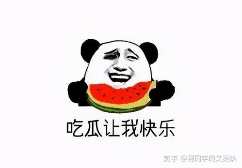 娱乐吃瓜酱不要在意别人,吃瓜酱带你领略幕后真相