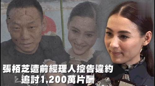 娱乐吃瓜399,从“421文件”到网红八卦，深度解析吃瓜文化现象