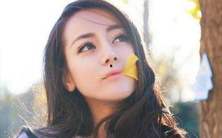 中国娱乐圈吃瓜明星小说,吃瓜明星的奇幻之旅