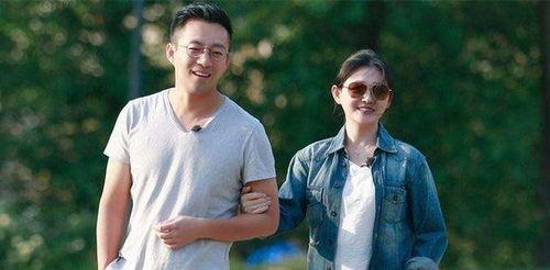 娱乐圈吃瓜汪小菲小说,汪小菲的娱乐圈风云录