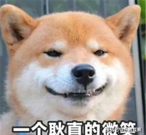 娱乐圈吃瓜的猹,揭秘“吃瓜猹”背后的八卦真相