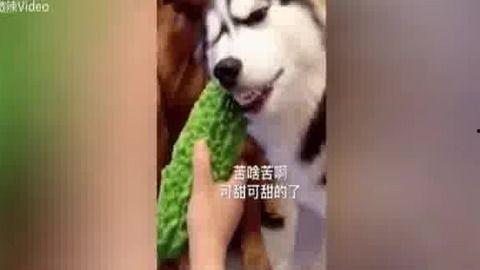 吃瓜娱乐哈,吃瓜群众揭秘幕后故事